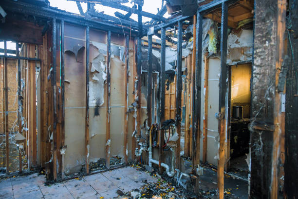 Professional Fire Damage Removal technician working in Myakka City, FL