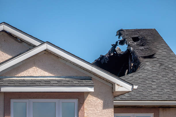 Top rated local Fire Damage Removal specialists in Myakka City, FL